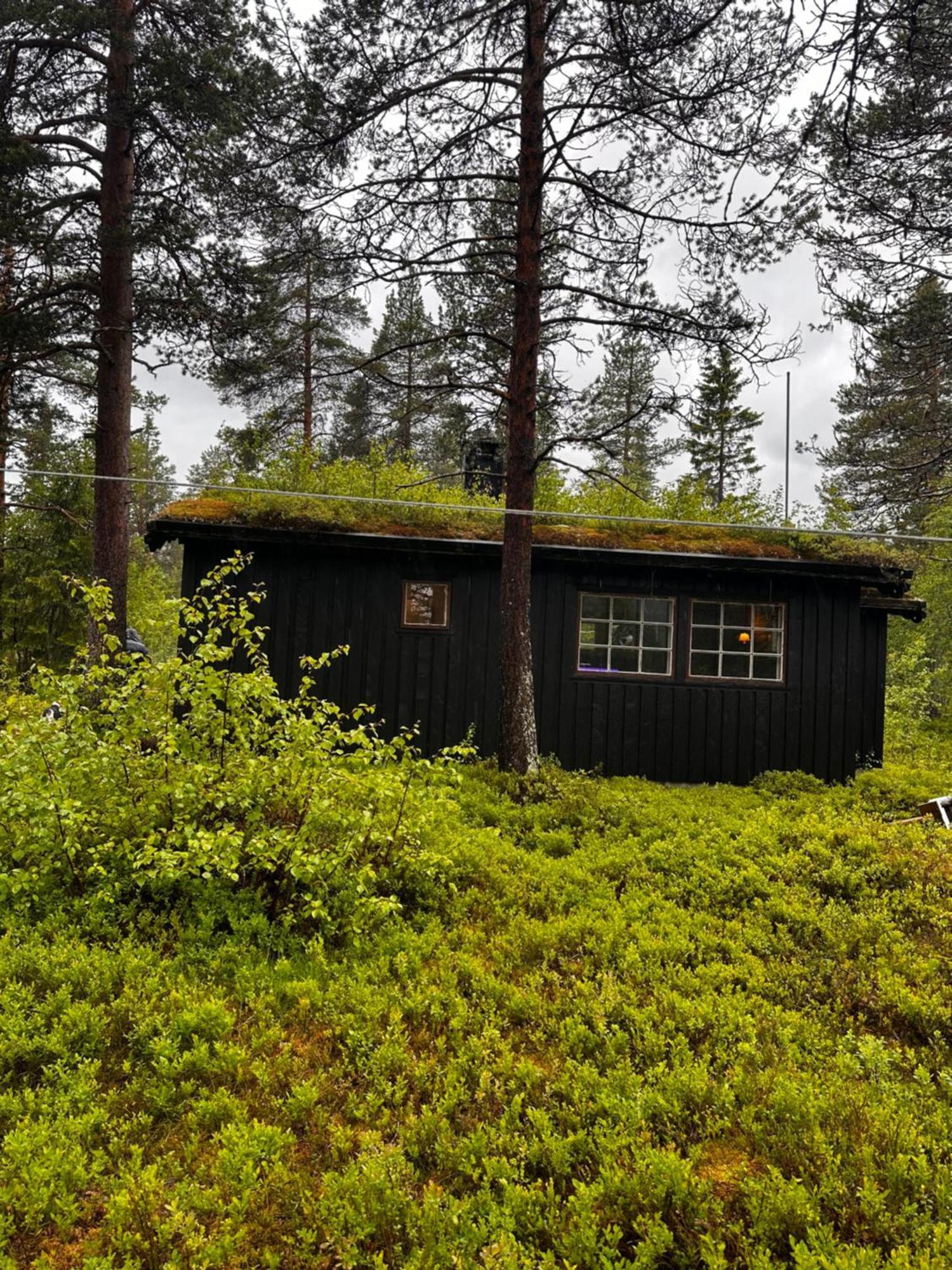 Villa Hytta Pa Oyfjell Exterior foto