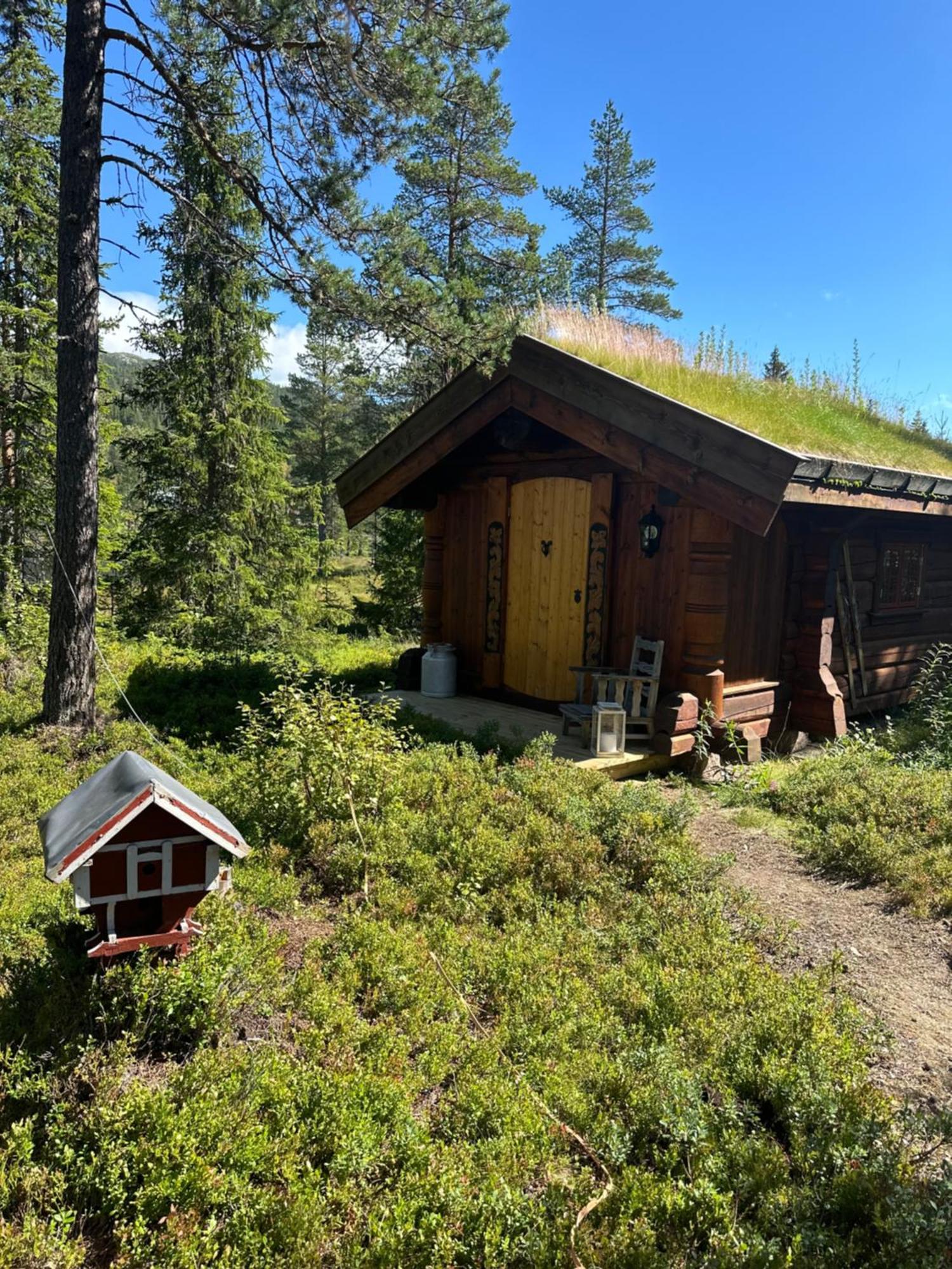 Villa Hytta Pa Oyfjell Exterior foto